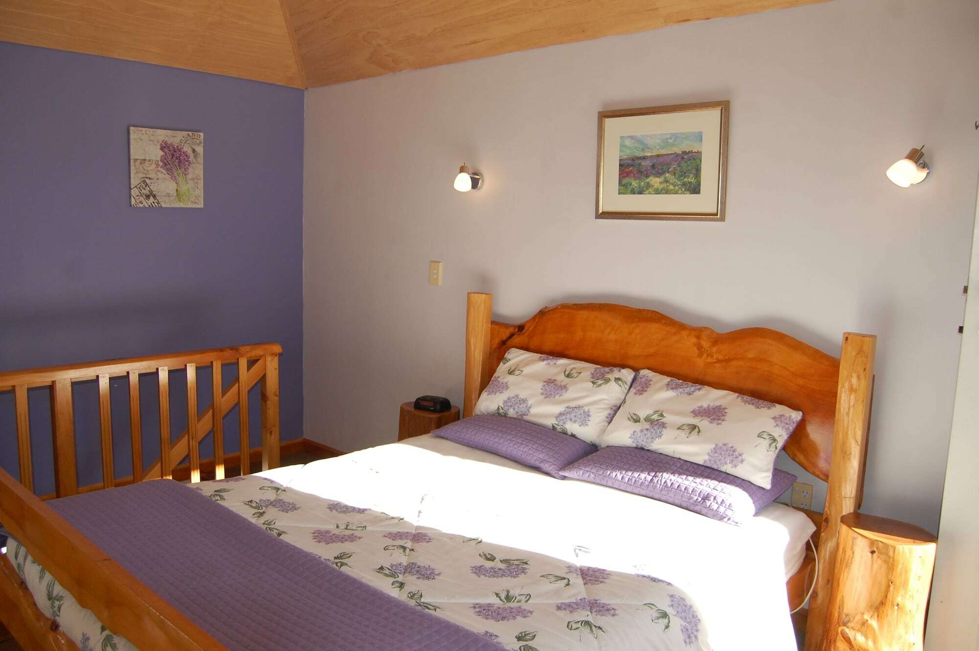Dylans Country Cottages Kaikoura Esterno foto